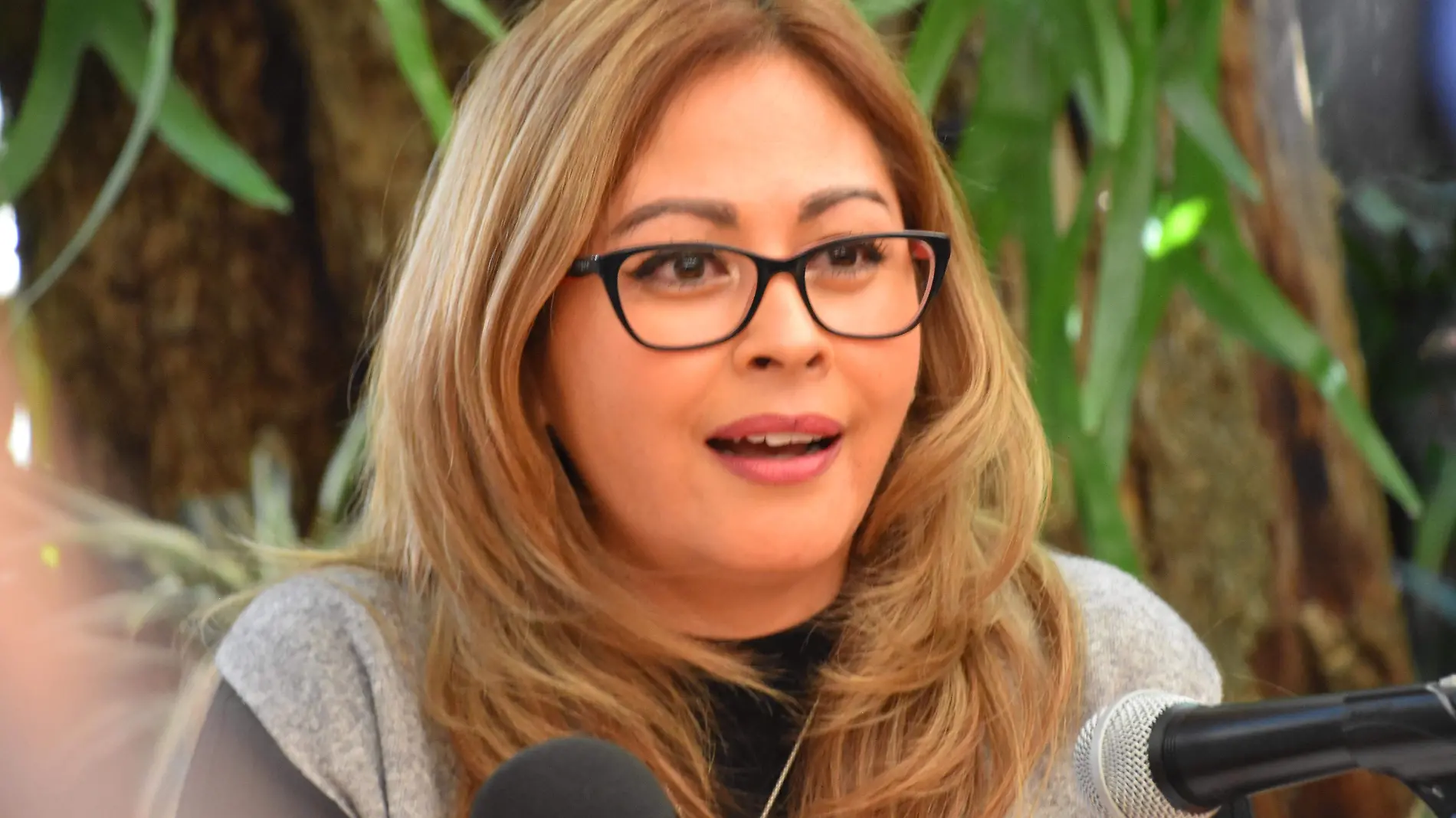 lucía Meza-excandidata a la gubernatura-